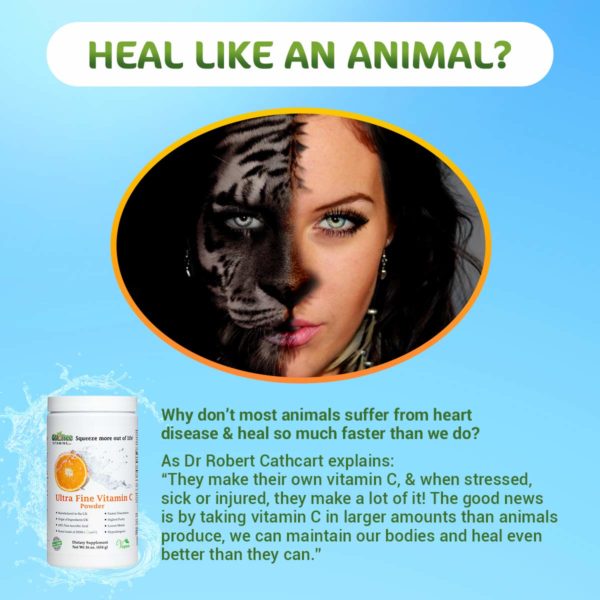 Quali-C Ultra Fine Vitamin C - Heal Like an Animal